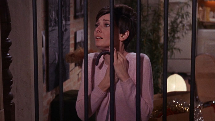 Wait Until Dark - Apartment