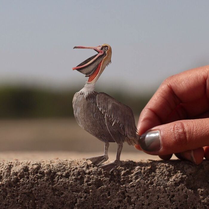 All The Beauty Of Nature Shown In Paper Cutouts By An Indian Artist