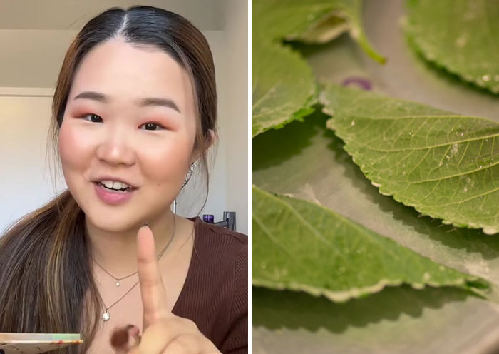 “Let Her Struggle, Bruh”: People Share Their Opinions On The “Perilla Leaf Test” And Discuss Loyalty And Boundaries In A Relationship