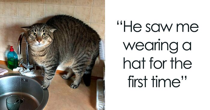 50 Of The Funniest And Cutest Pets’ Reactions To Trying Something They’d Never Tried Before (New Pics)
