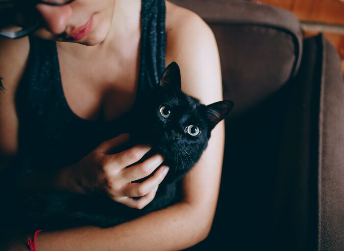 Woman Scratching Neck Of A Black Cat 