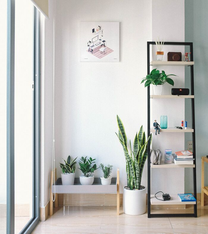 Esthetic Room Corner 