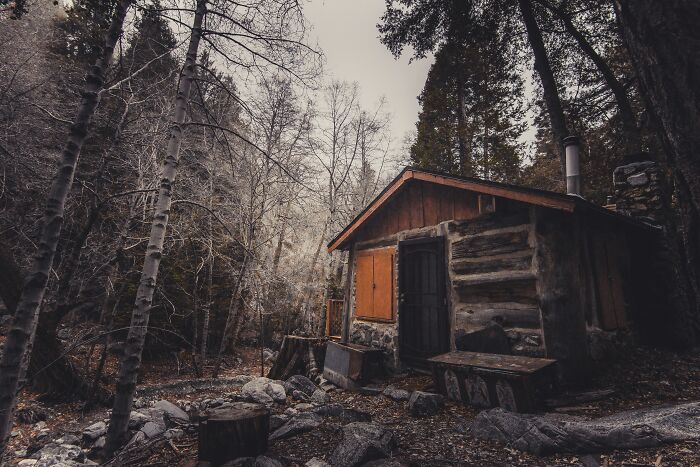 Wooden cabin in the woods 