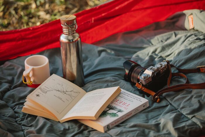 Picture of thermo, book, camera and cup