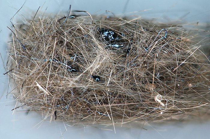 Pele's Hair Lava, Havaii