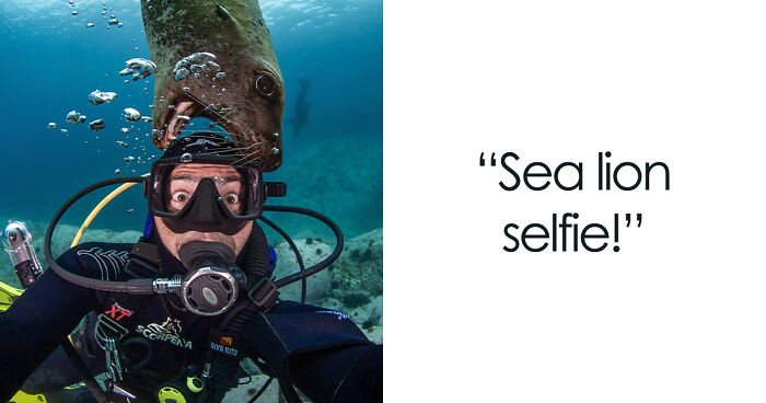 I Traveled To Moneron, A Small Volcanic Island Untouched By Man (10 Pics)