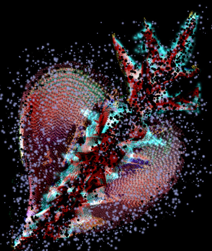 My Broken Heart 💔