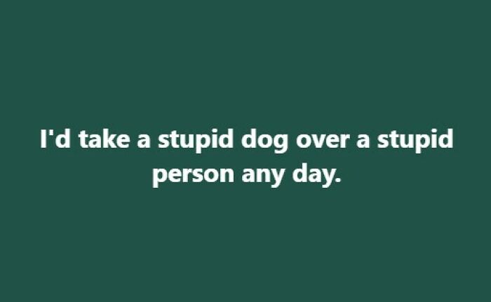 I Actually Love Stupid Dogs. They Are Easier To Teach