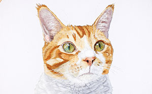 62 Realistic Pet Portraits That I Embroidered For Their Owners