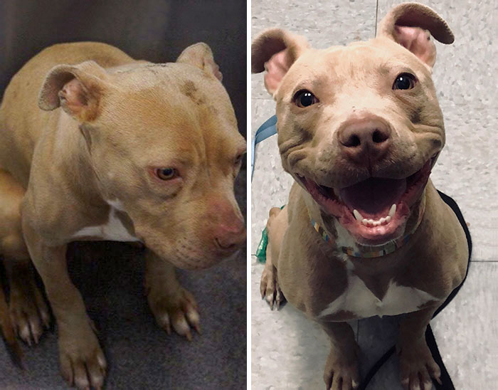 Before And After The Rescue