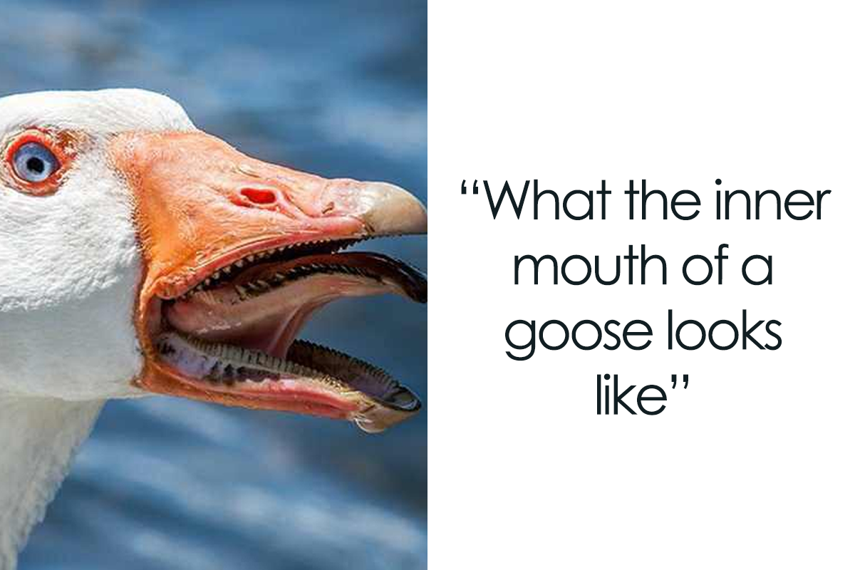 40 Creepy Facts Not For The Fainthearted, As Shared On The “Terrifying