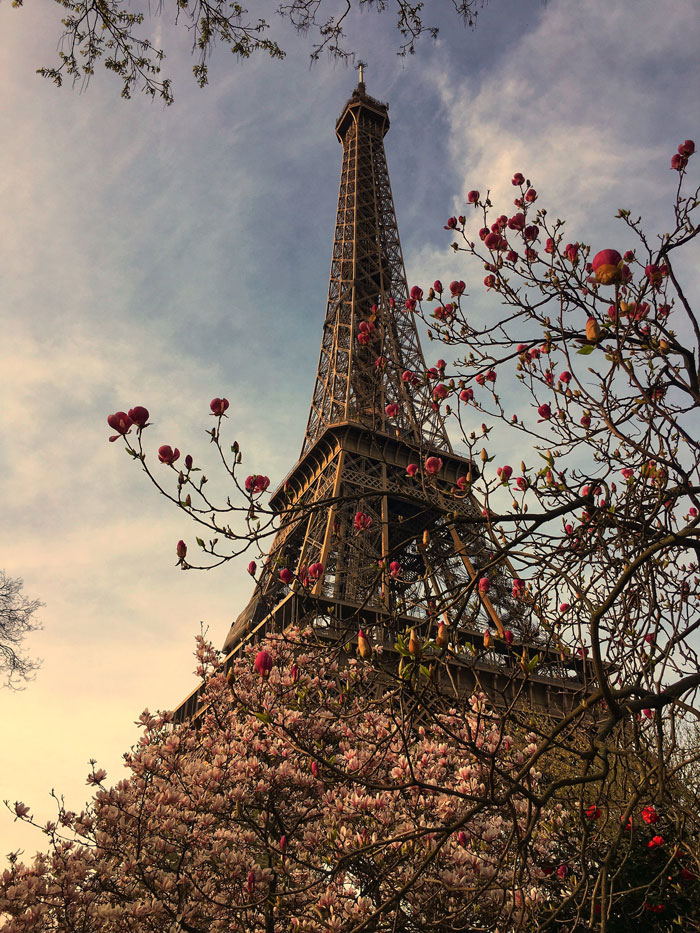 Photo of Eiffel Tower during spring time