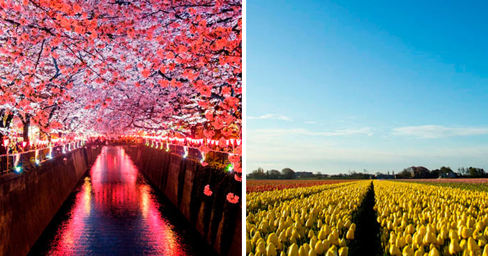 50 Picture-Perfect Spring Destinations That Are Best Visited Around This Time