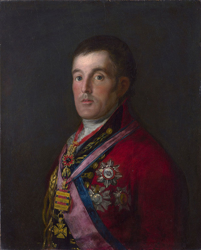 Portrait Of The Duke Of Wellington By Francisco Goya