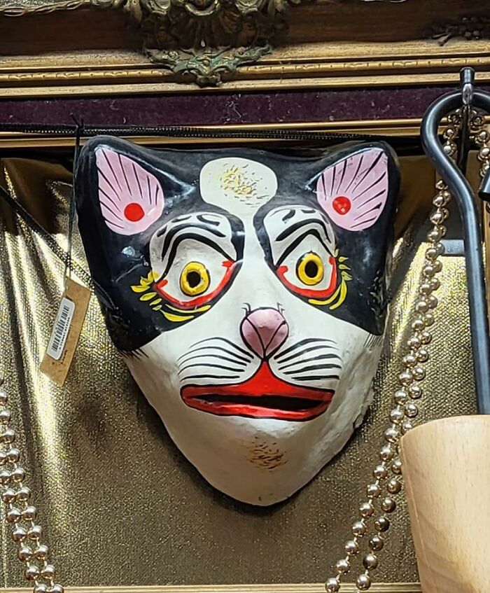 80 Random And Unhinged Charity Shop Finds That Prove Shopping Secondhand Can Be Wild - Bored Panda (Picture 46)