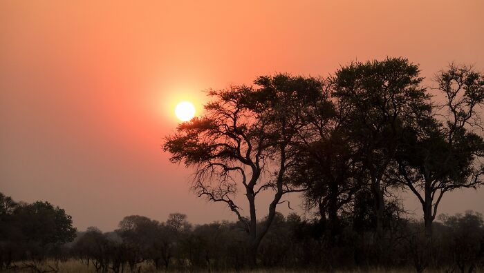 Sunset in a safari 