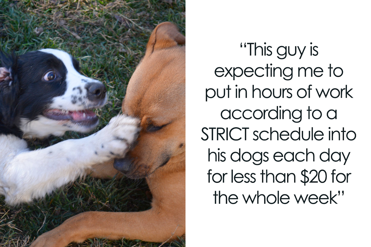 How Do I File A Complaint Against A Neighbors Dog