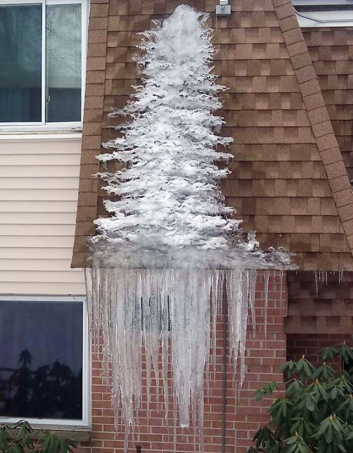 Rain And Ice Formed What Resembles A Fur Tree On The Side Of A Condo's Roof