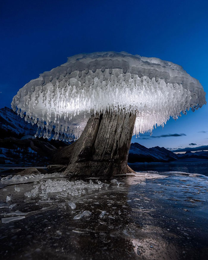 Frozen Feature Shaped Like A Mushroom