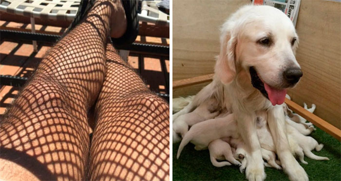 50 Times People Had To Do A Double Take To Understand What They Were Looking At (New Pics)