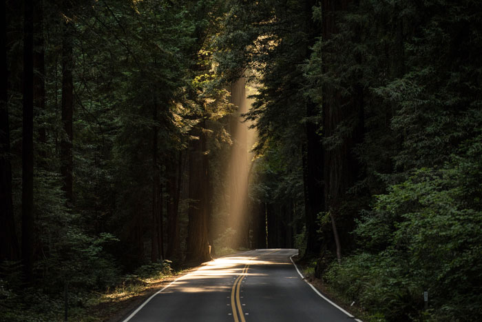Sunlight from sky on road in the forest