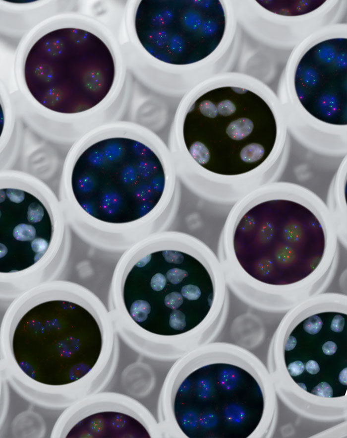 Lots of tubes with shiny chemicals inside