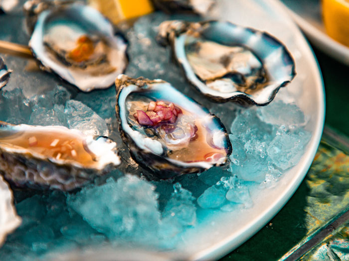 Oysters in ice plate