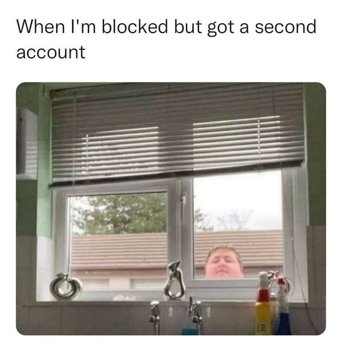 This-Is-Why-Im-Single-Jokes-Memes