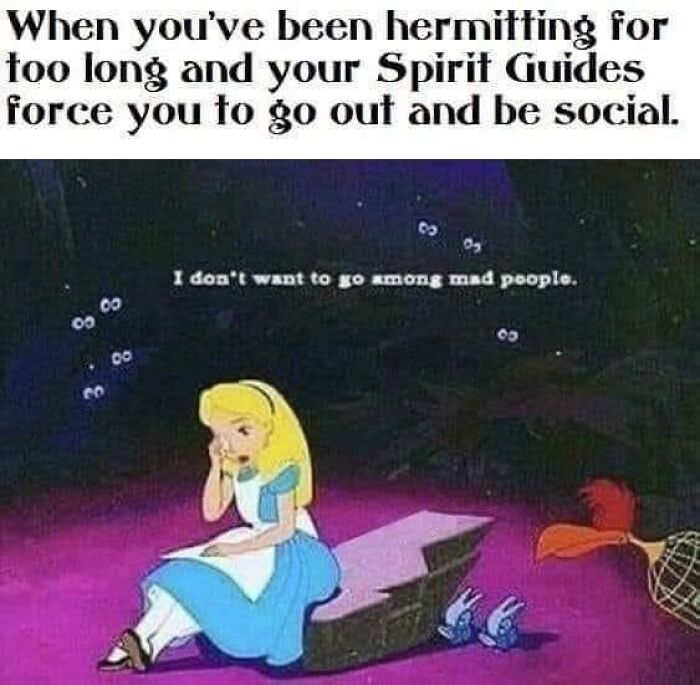 This-Is-Why-Im-Single-Jokes-Memes