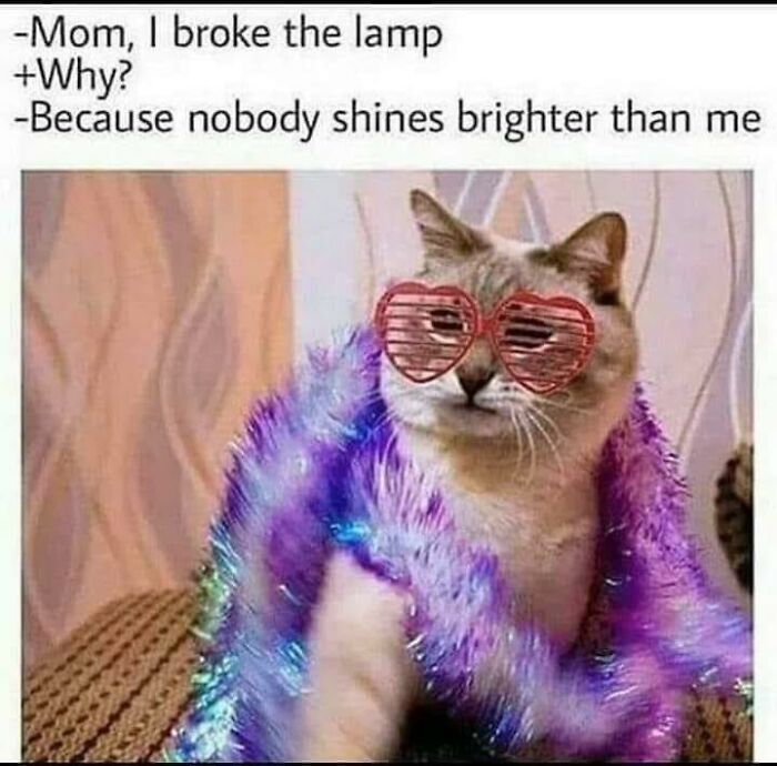 This-Is-Why-Im-Single-Jokes-Memes