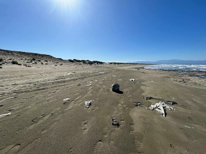 700kg Of Beach Trash Collected, And Counting (12 Pics)