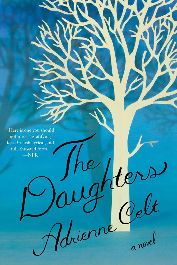 The Daughters book cover 