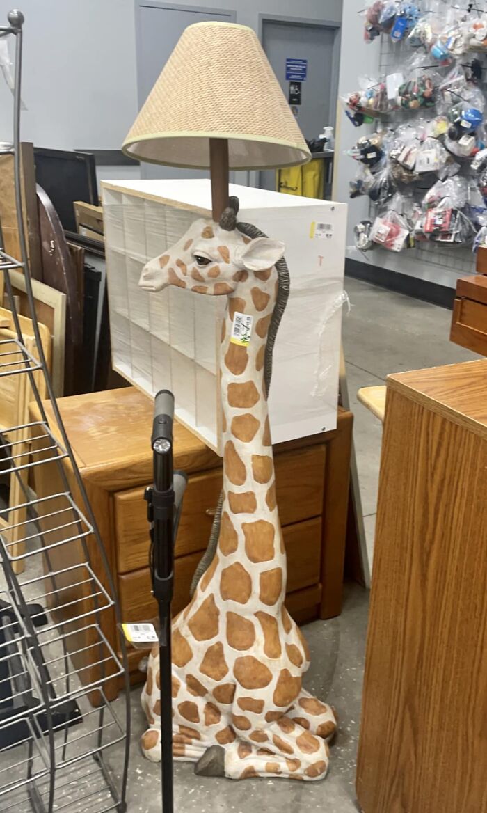 Update: I Went Back With Major Fomo To Buy It But Discovered He Was Missing An Ear! I Decided To Leave Him For A Crafty Person To Repair. $49.99. It Pained Me To Leave This Cute Guy Behind, But I’m Not Sure It’ll Fit In Our Tiny Apartment. Spotted At Goodwill In Central Fl!
