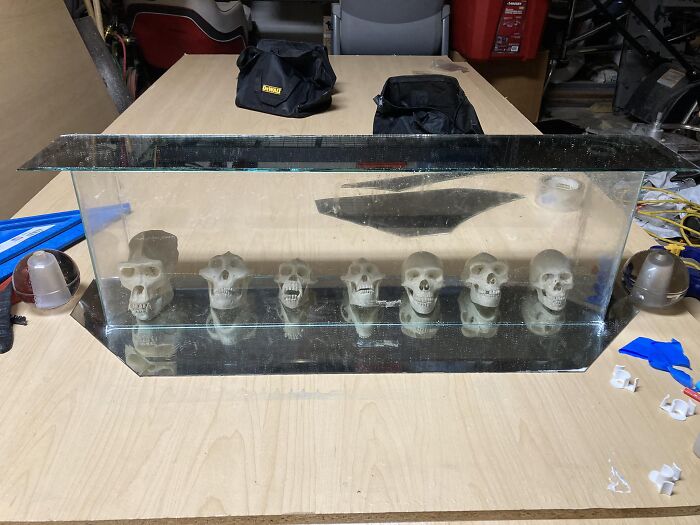 Found These Skulls In An Attic I Was Cleaning Out And Built This Shadow Box With A Broken Mirror And Leftover Window Glass. That’s About As Second Hand As You Can Get