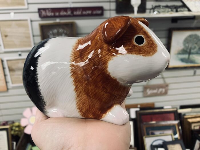 Omgerd…. Look At This Wee Pig Piggy Bank We Found Tonight While Thrifting! He Is Adorable! Yes He Came Home With Me!!!