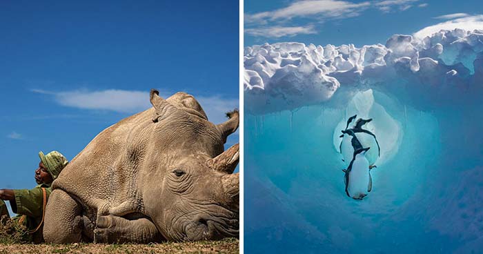 30 Winning Pictures From The 2022 Travel Photographer Of The Year Awards