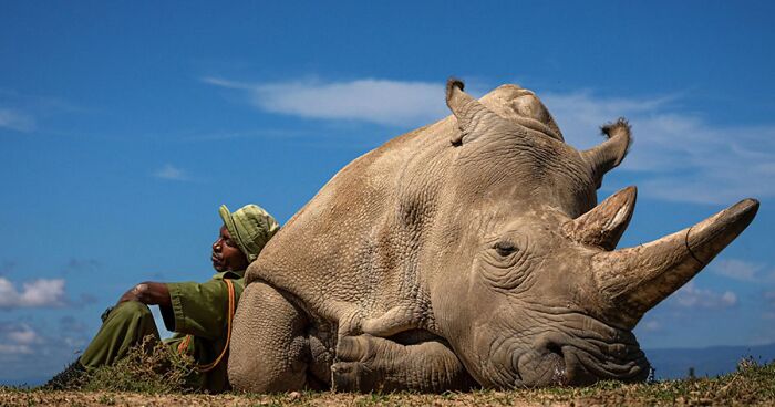 30 Winning Pictures From The 2022 Travel Photographer Of The Year Awards