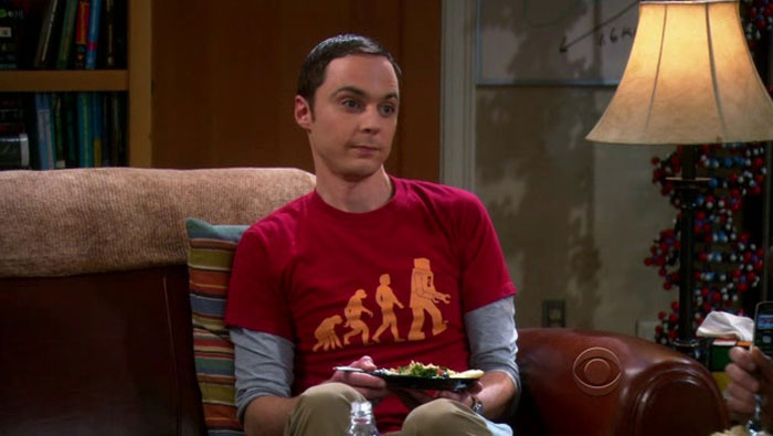 Sheldon Cooper From "The Big Bang Theory"