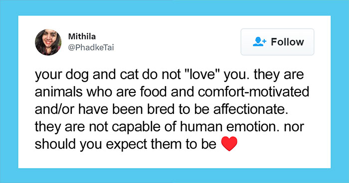 “Your Dog And Cat Do Not ‘Love’ You”: Person Attempts To ‘Debunk Myth’ On The Nature Of Pet-Owner Relationships, Gets Slammed Heavily In Return