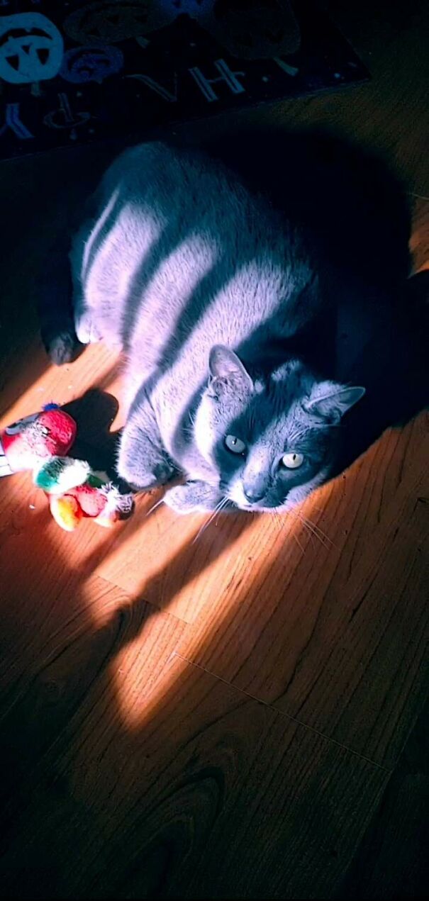 This Is My Big Sweet Weirdo Baba Yaga