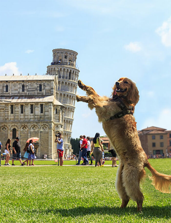 Ah, genial. Otra foto “sosteniendo la torre inclinada de Pisa” 