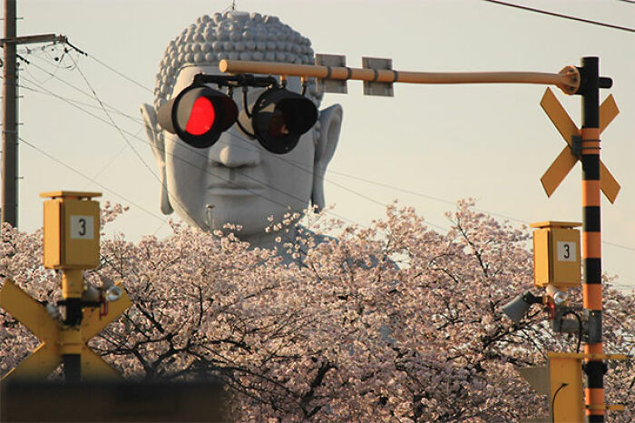 Buda con gafas de sol 