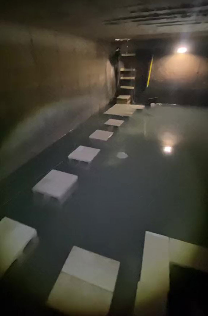 This Man Has An "Eel Pit" Under His Home And It's Making The Internet Lose Its Mind This Man Has An "Eel Pit" Under His Home And It's Making The Internet Lose Its Mind