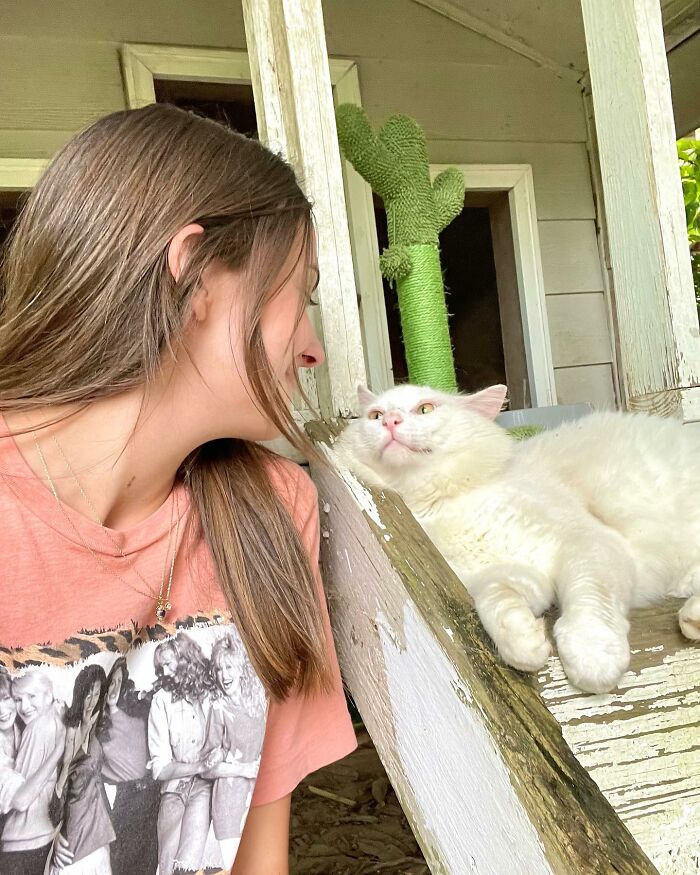 Meet Coop, A Cat Abandoned By His Owners Who Found His New Loving Family