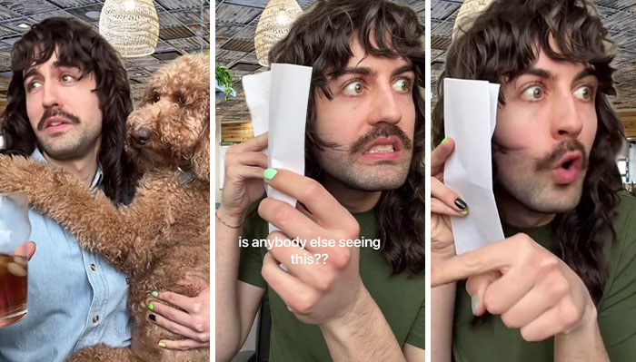 Dogs In All Establishments