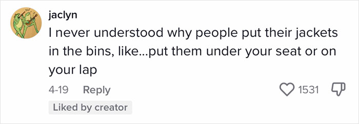 Travel Blogger Criticizes Passengers Who Don't Observe Her Unwritten 'Plane Etiquette Rules', Stirs Discussion Online