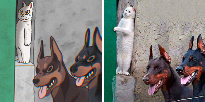 This Artist Recreates Funny Cat Images Into Comical Illustrations (31 Pics)