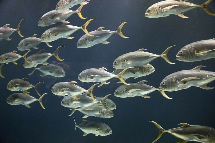 30 Red Flags To Keep An Eye On To Spot A Bad Restaurant, As Shared On This Online Group