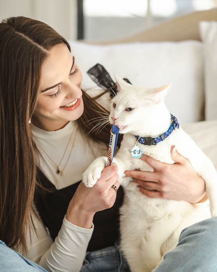 Meet Coop, A Cat Abandoned By His Owners Who Found His New Loving Family Meet Coop, A Cat Abandoned By His Owners Who Found His New Loving Family