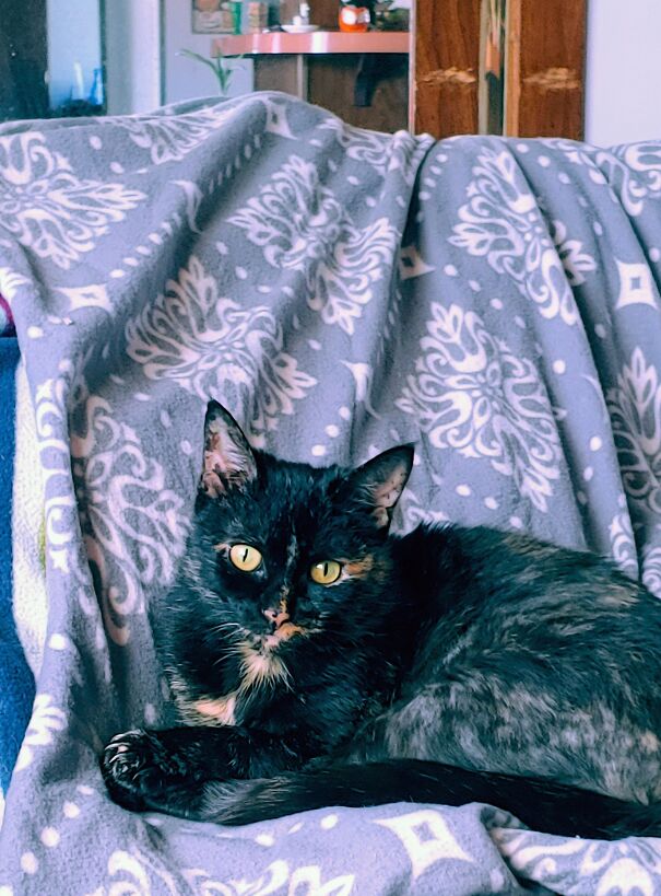 Cinder Looking Rather Poised